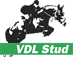 vdl stud